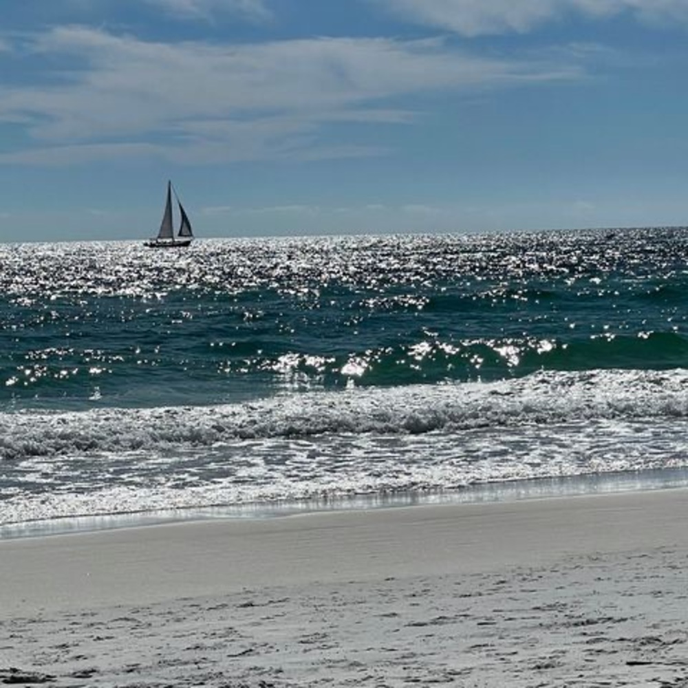 Meet your Posher, Jodi